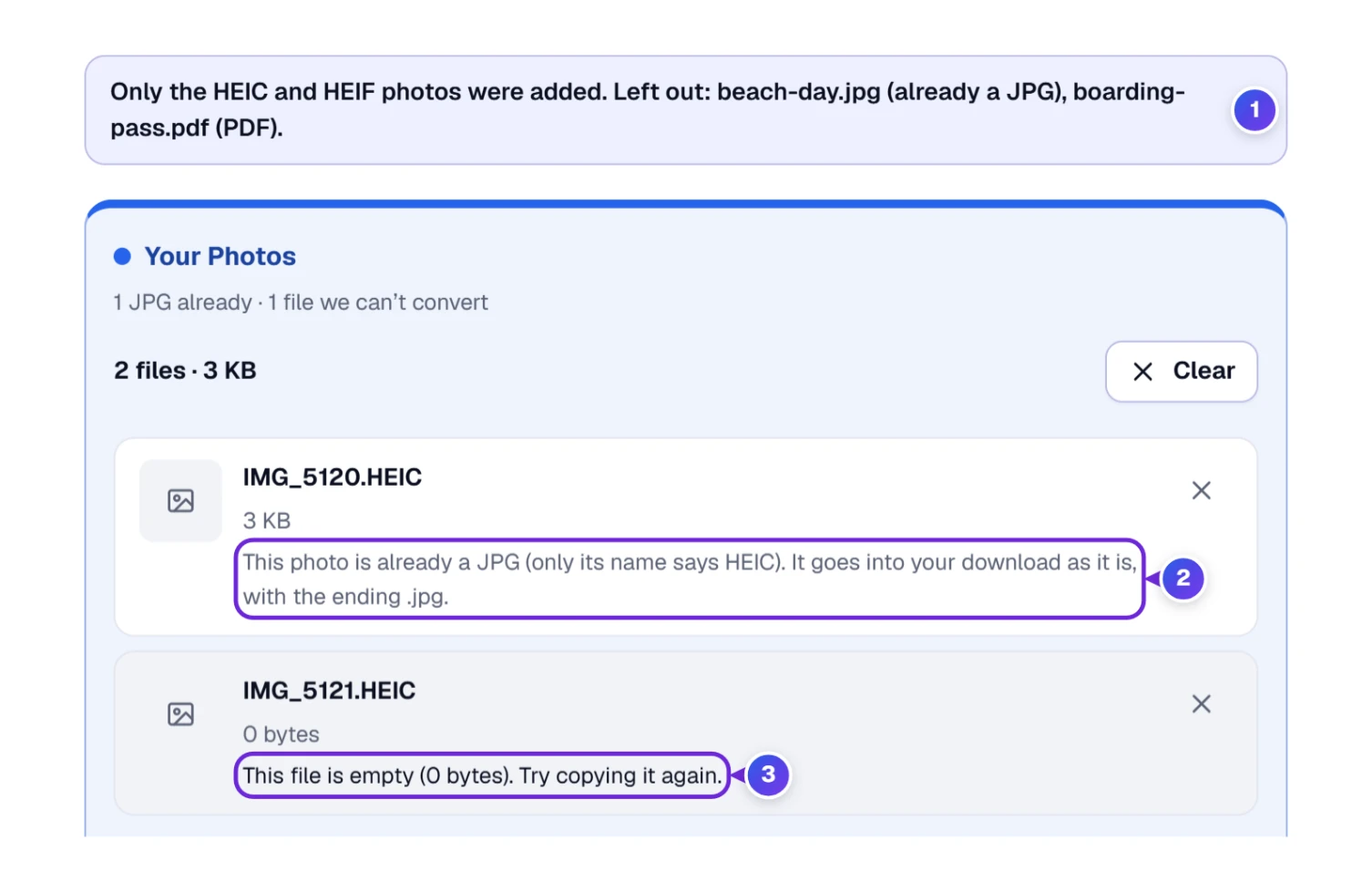 A message names the JPG and PDF files that were left out, and the list flags a renamed JPG and an empty file