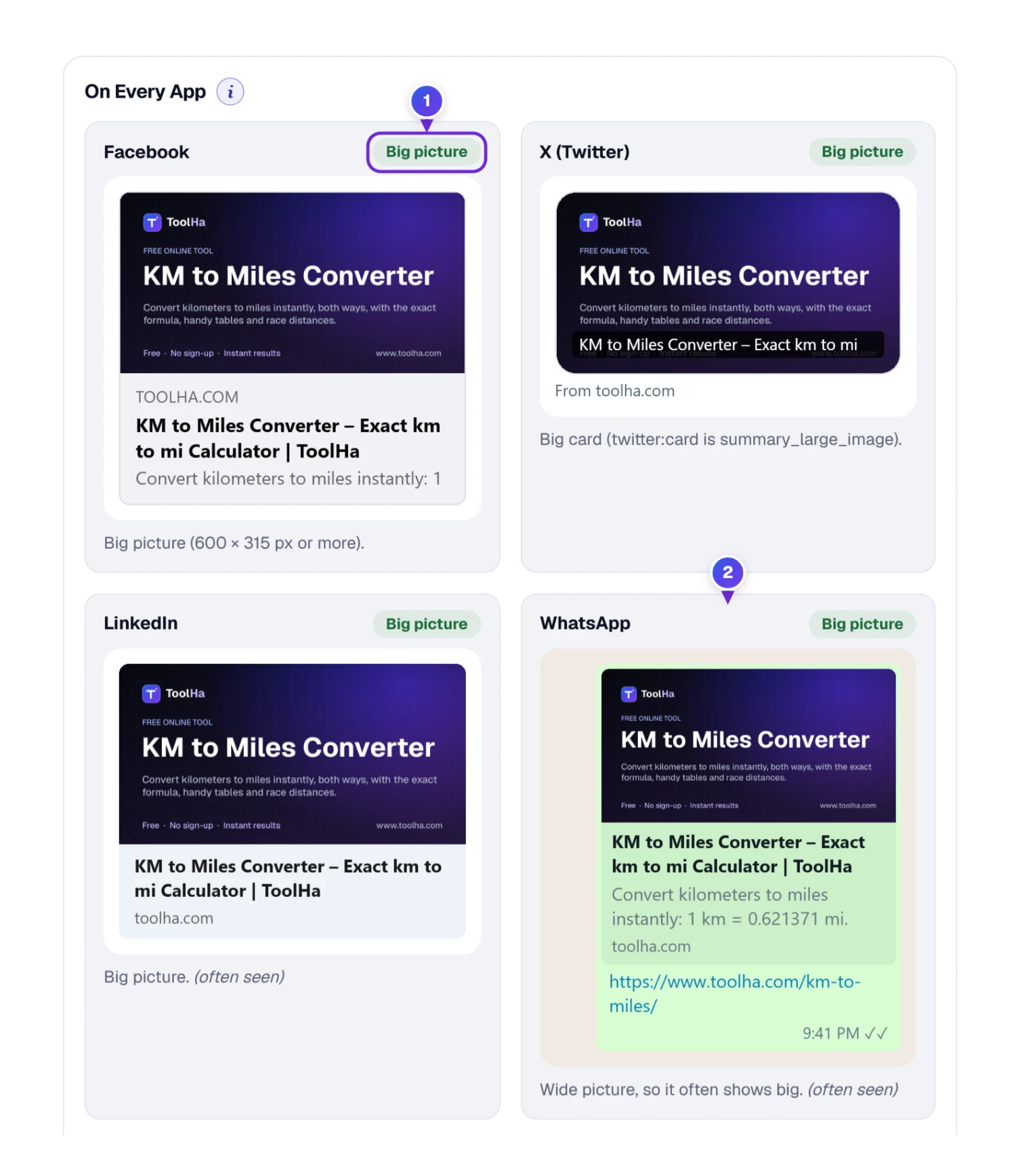 On every app: preview cards for Facebook, X, LinkedIn and WhatsApp, each marked Big picture