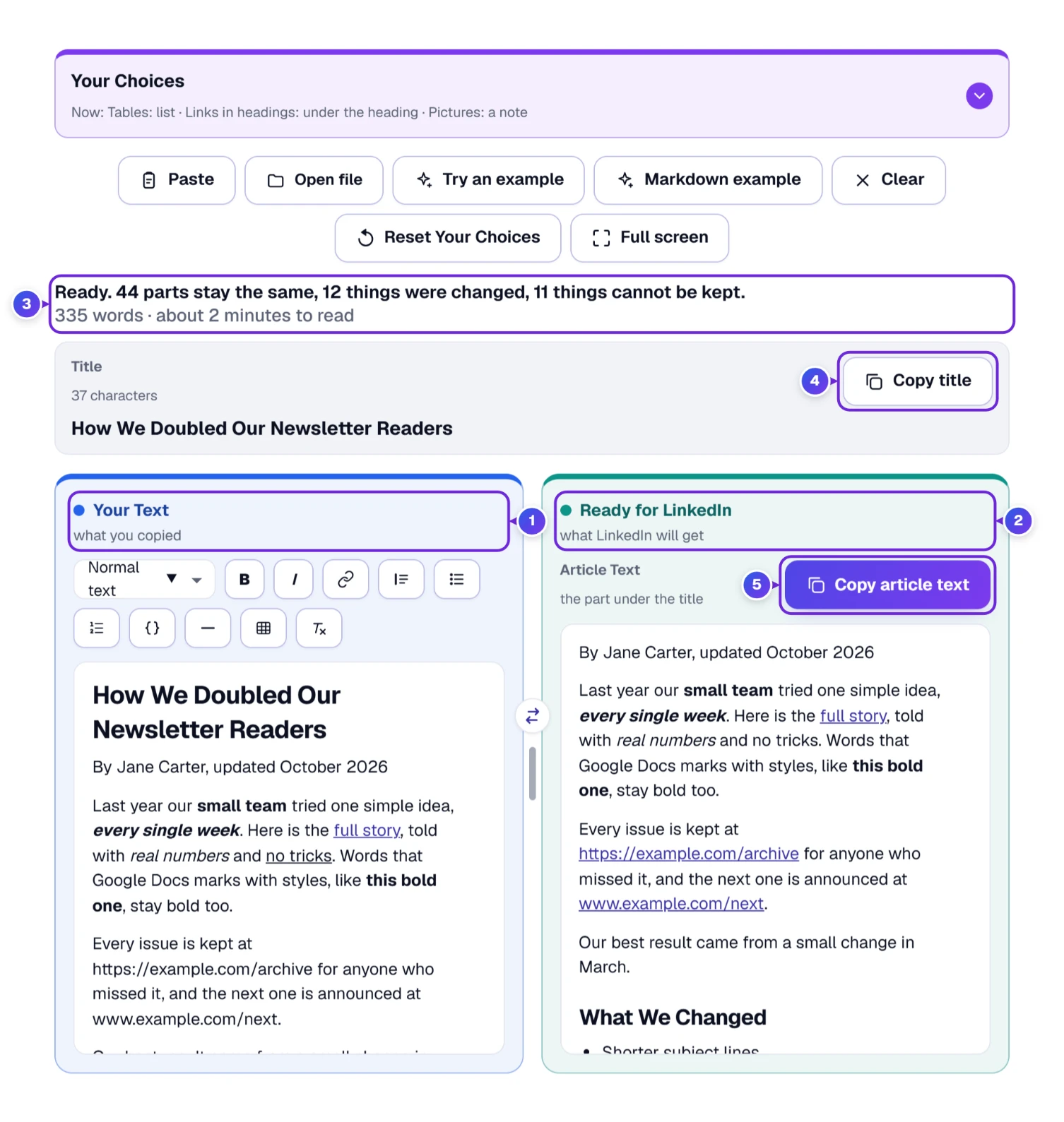 The formatter with its example loaded: Your Choices bar, two boxes, summary line and two copy buttons